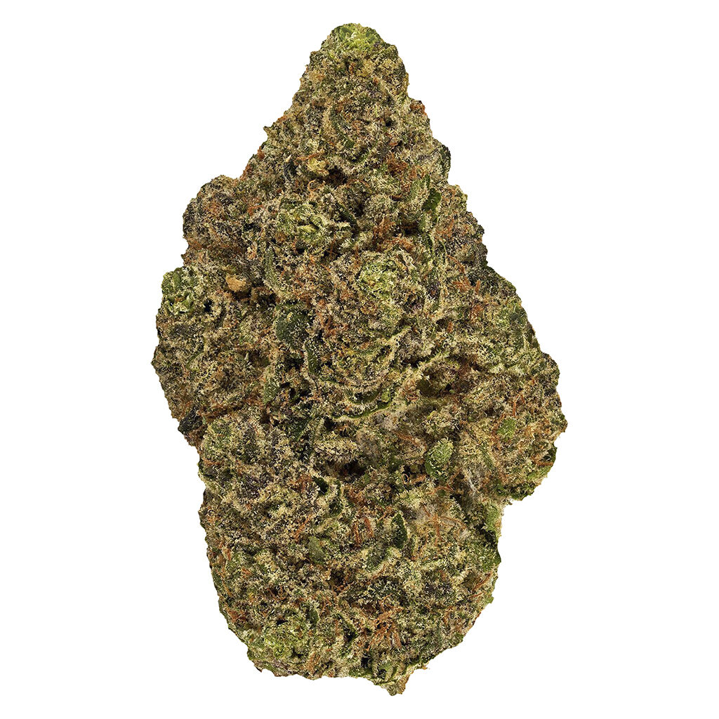 Bud Lafleur - Chiquita Milkshake ( C. Banana x Kush Mints)