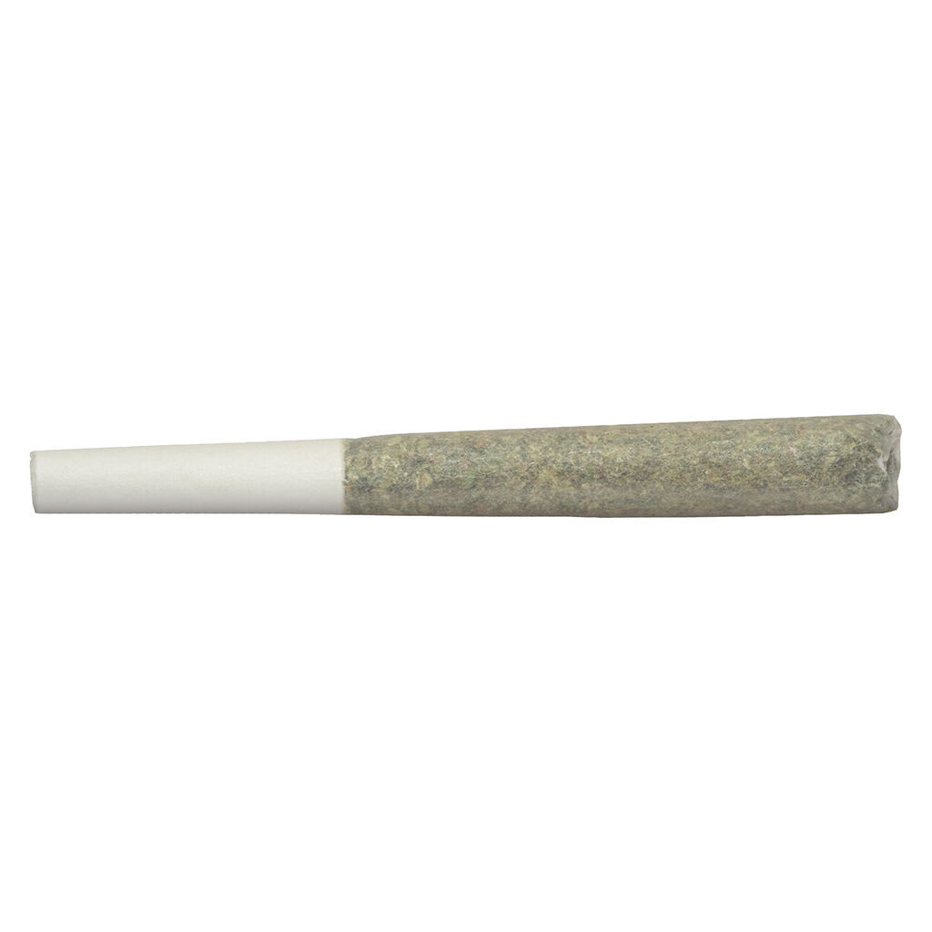 Blanh Indica PreRoll  14x