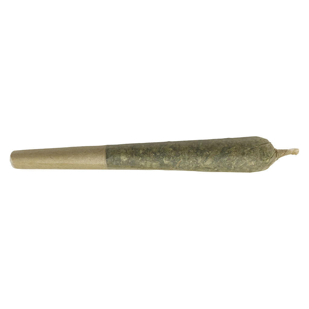 Oreoz X Orange Punch Pre-Roll