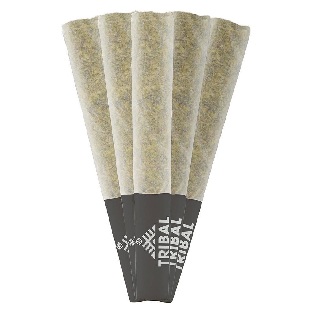 Tribal - Porto Leche Pre-Roll