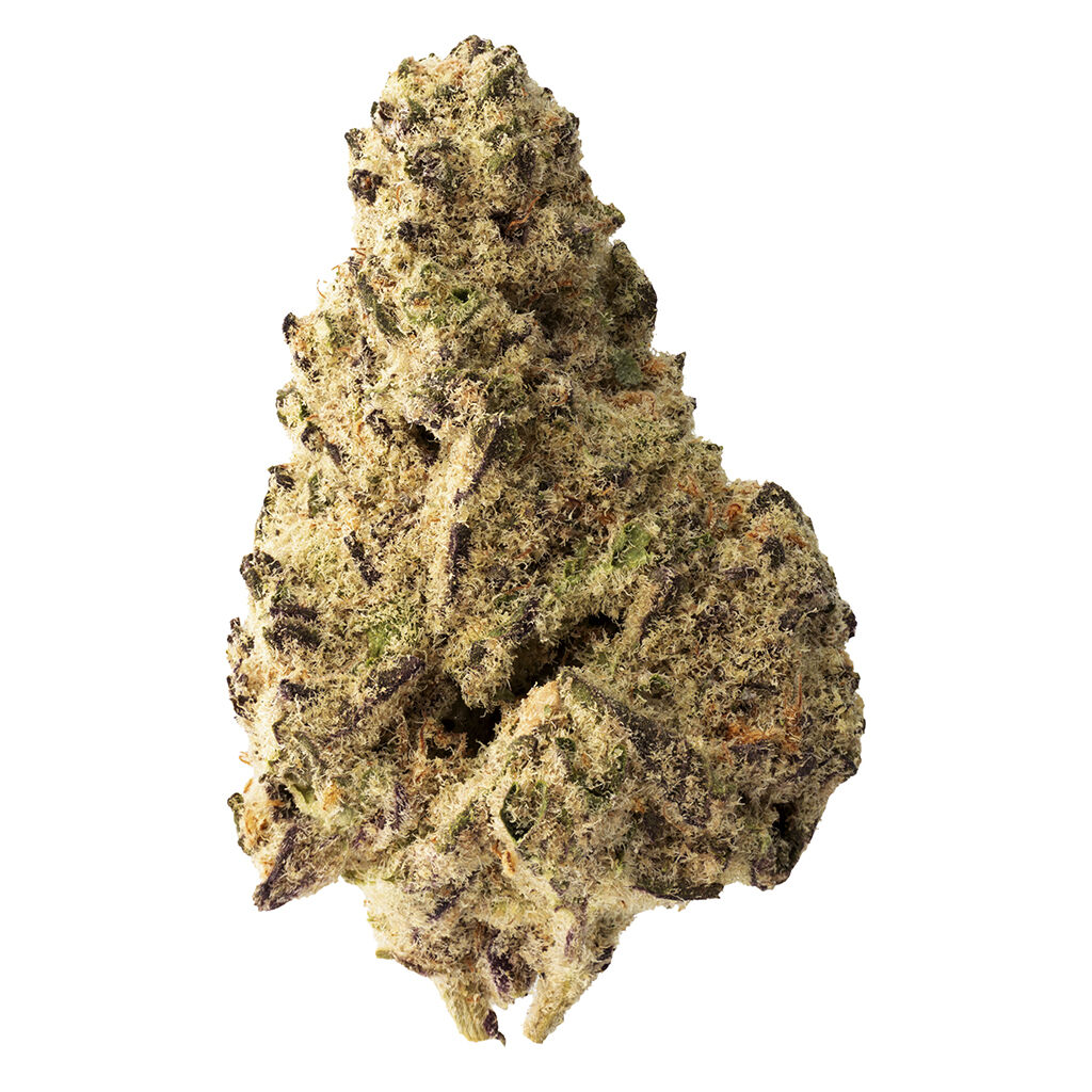 The Loud Plug - Platinum Punch