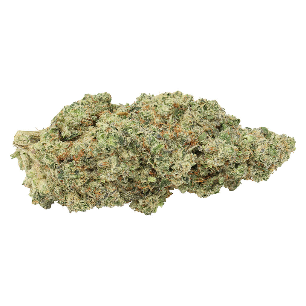 Carmel - Candy Gas Face x Masterpiece Whole Flower