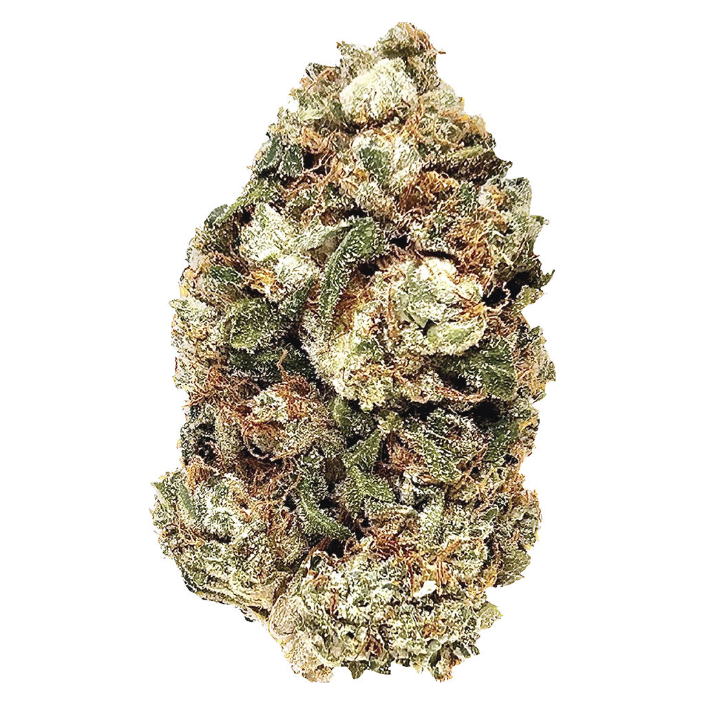 BC Green - Frosted Gumbo