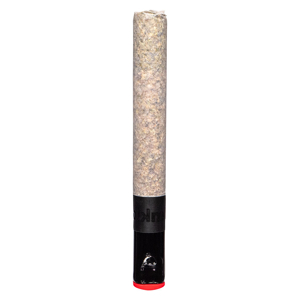 The Magnum Pre-Roll