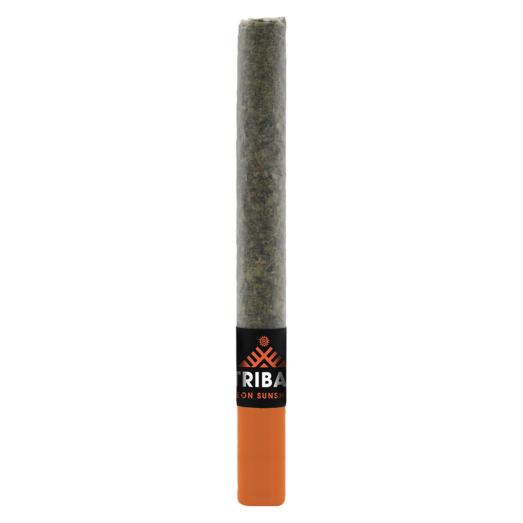 Tribal - Neon Sunshine Ceramic Tip Pre-Roll