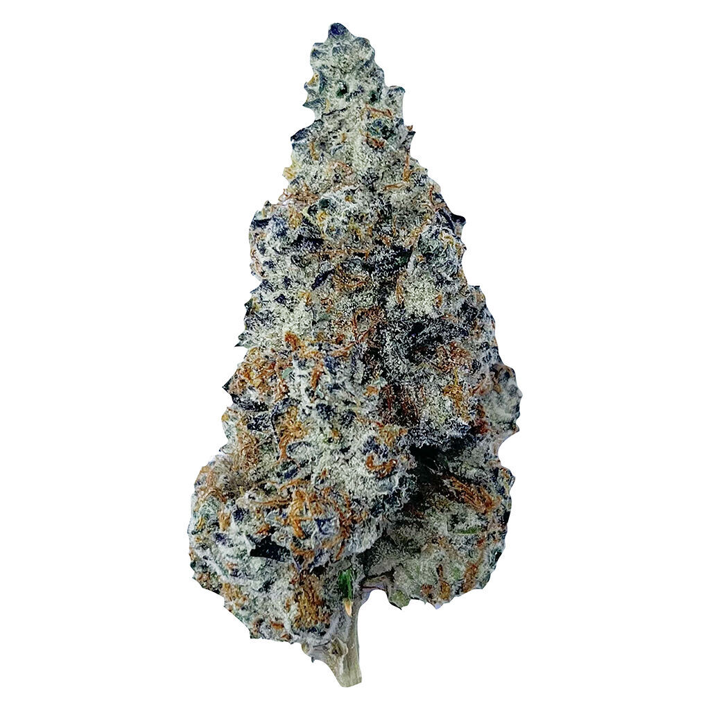 Slurriboof Whole Flower