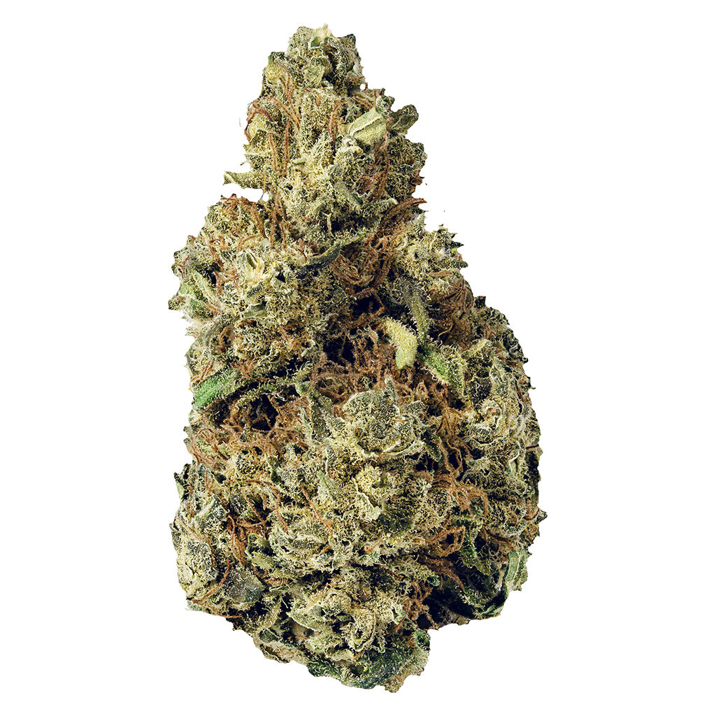 Product image Terp Town Collective - Resting Gas Face 1