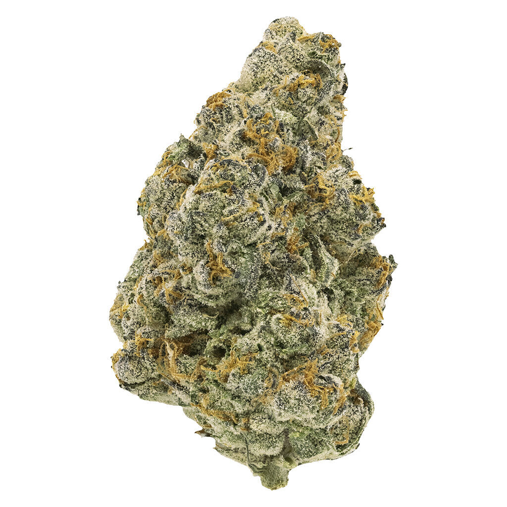 FIGR - Midnight Sherb - Dried Flower