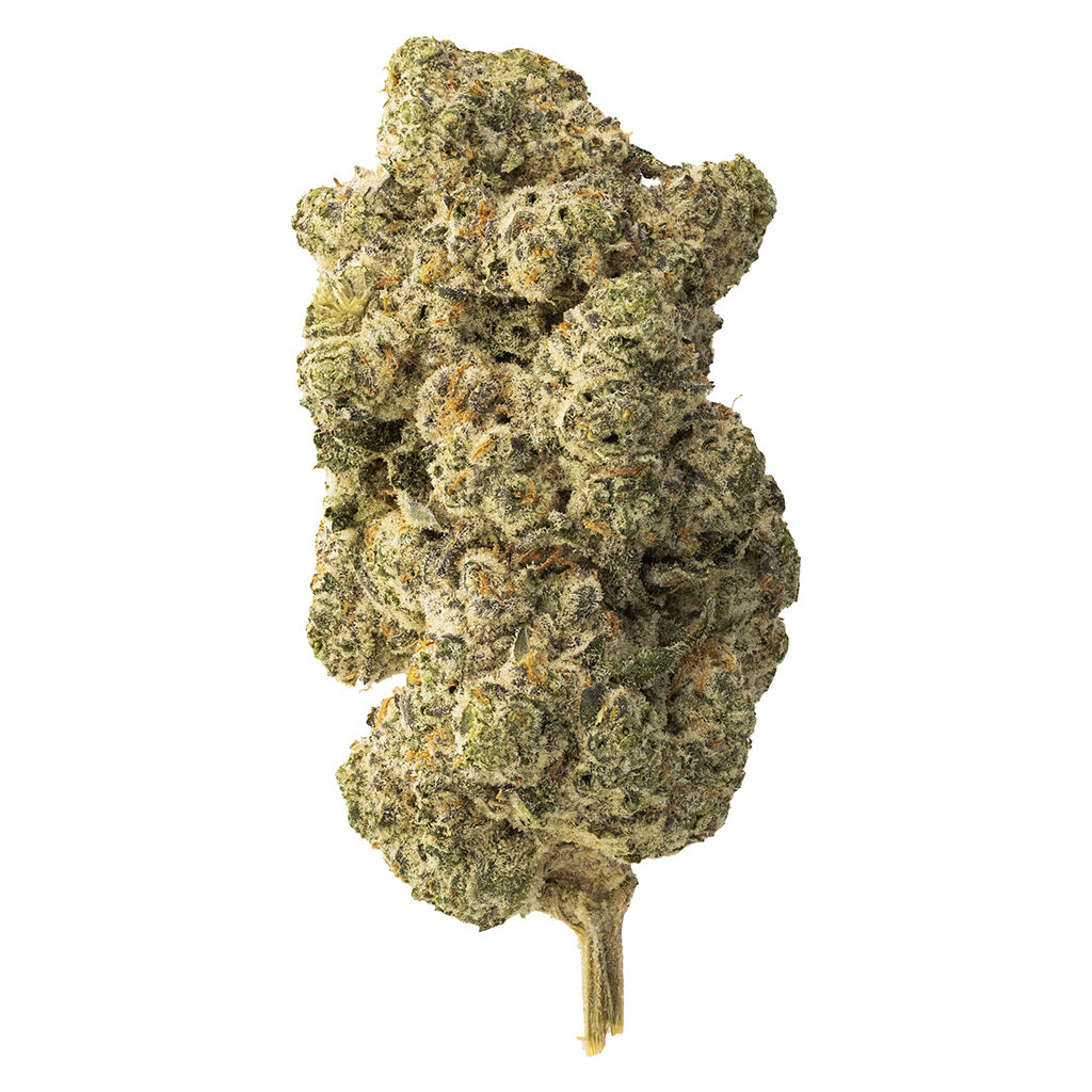 Lemon Gelato 28g Dried Flower