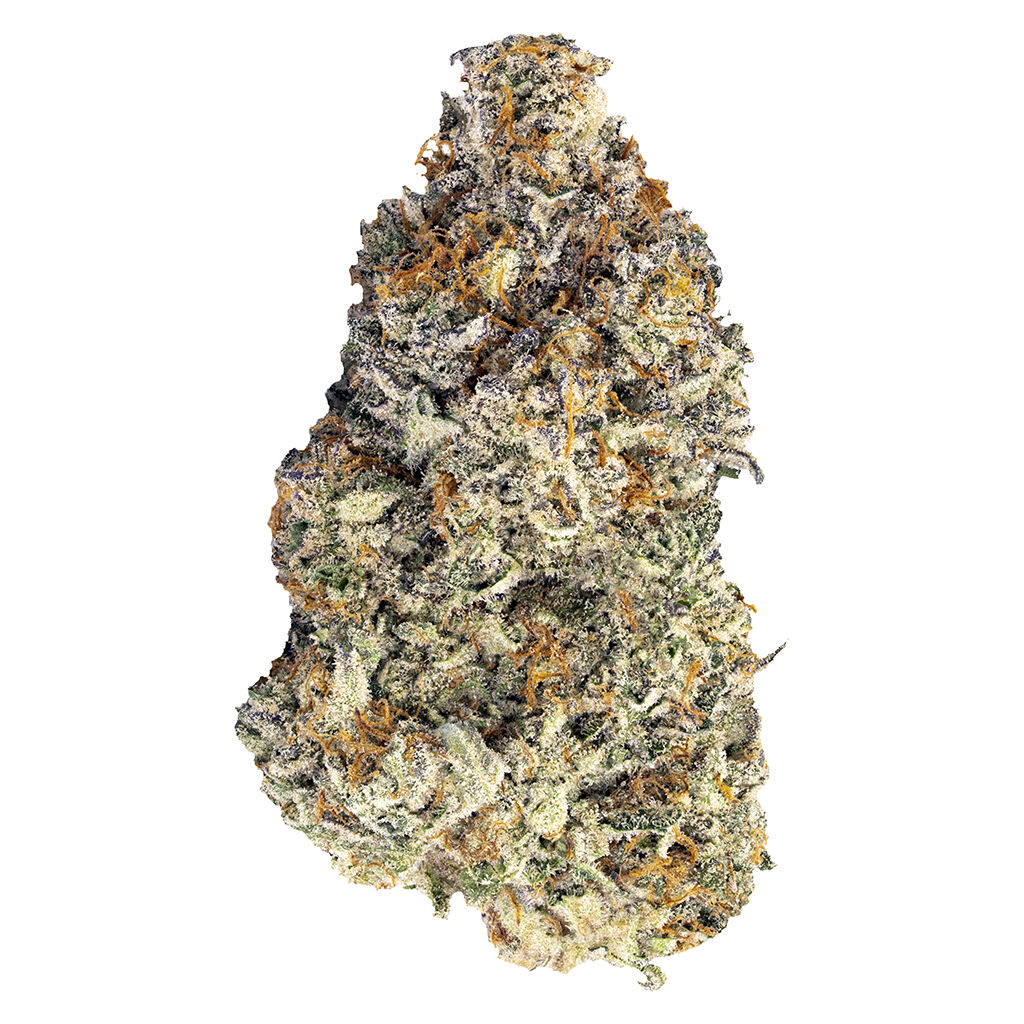 BLK MKT - Britscotti 7g Dried Flower Main Image
