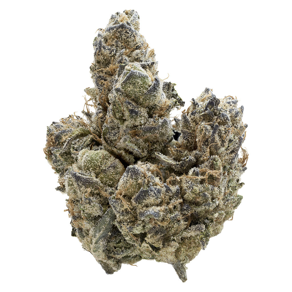 Florida Oranges 7g Dried Flower