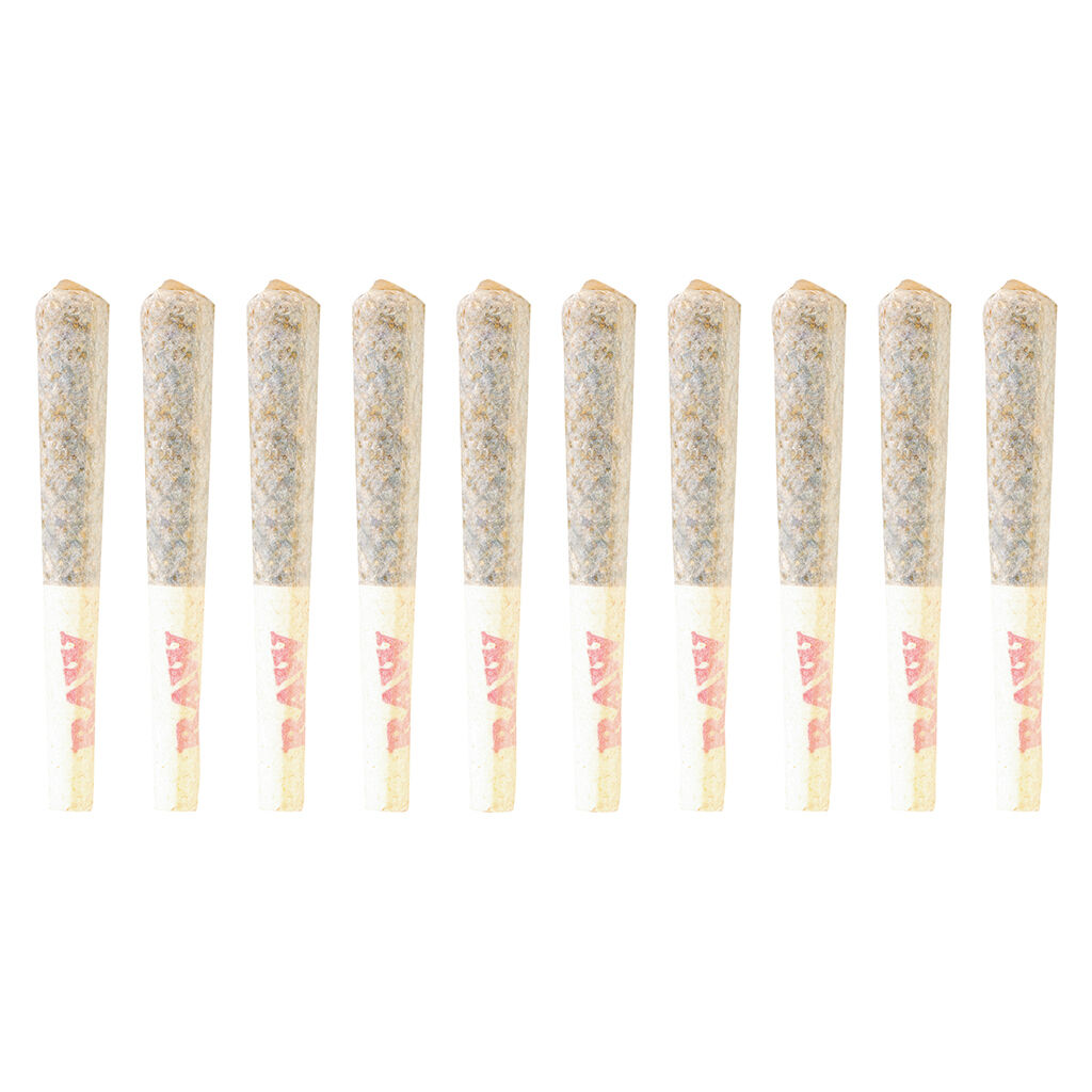 Devil's Driver Pre-Roll