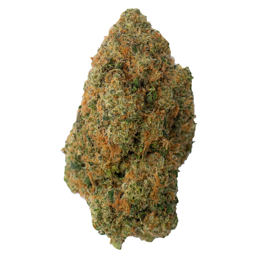 Toba's Indica