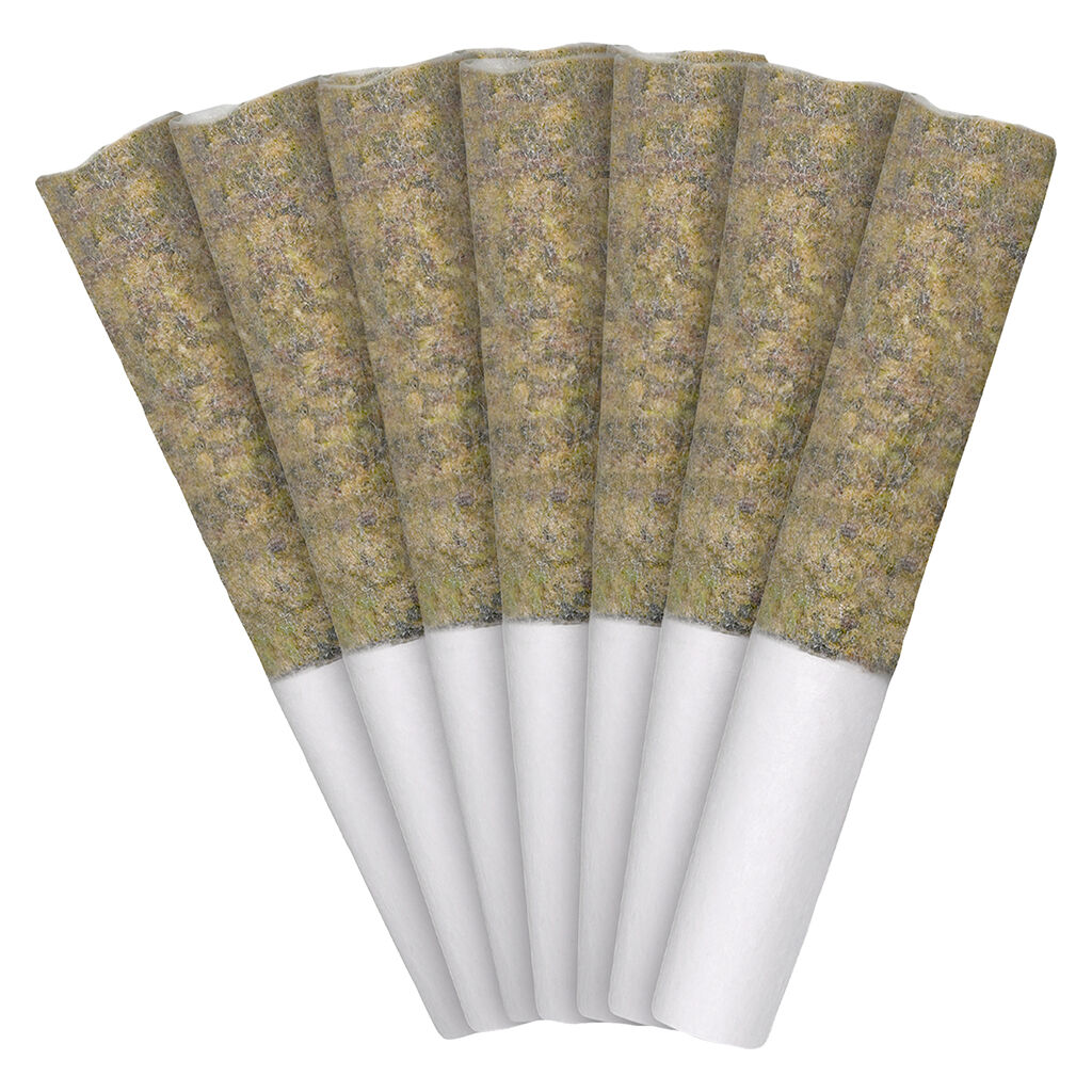 Florida Oranges 7x0.5g Pre-Rolls