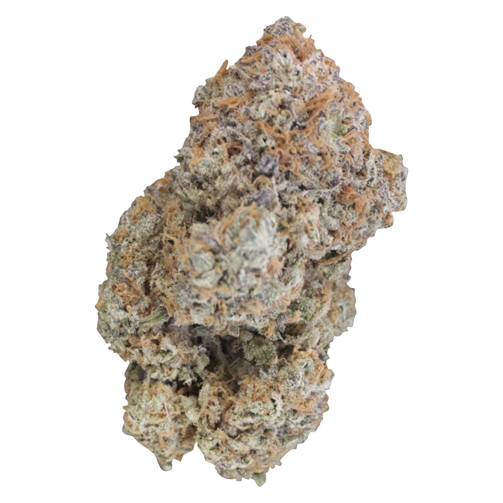 Oreoz X Orange Punch