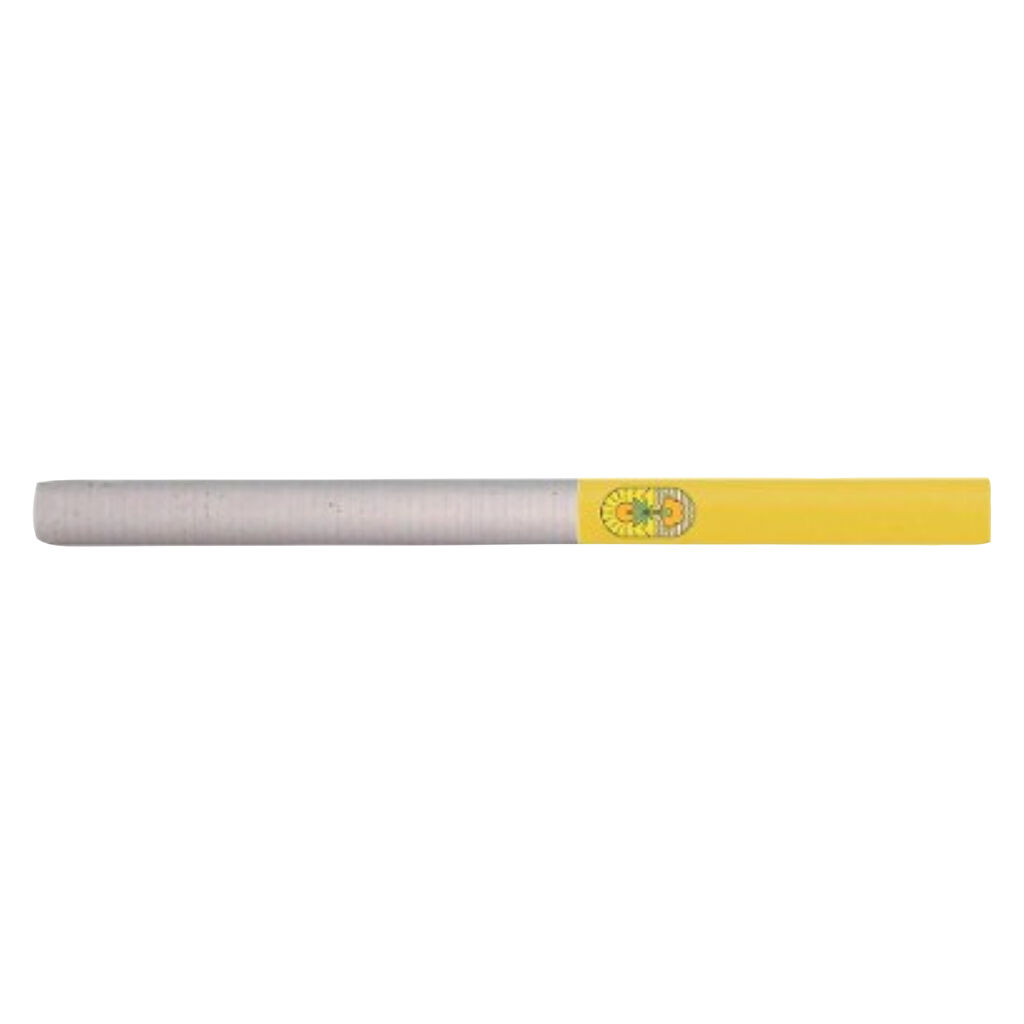 Durban Princess Pre-Roll