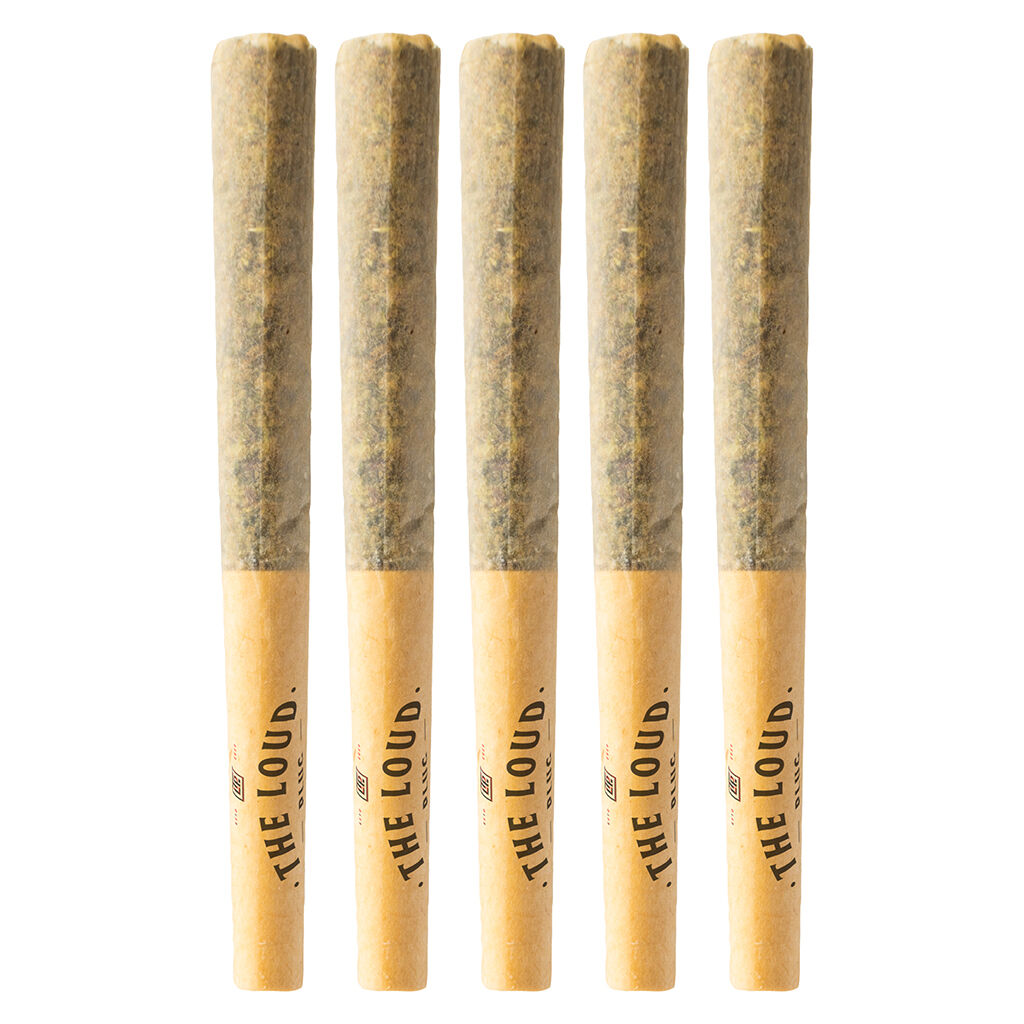 The Loud Plug - With Love From Scarbourough Pre-Roll