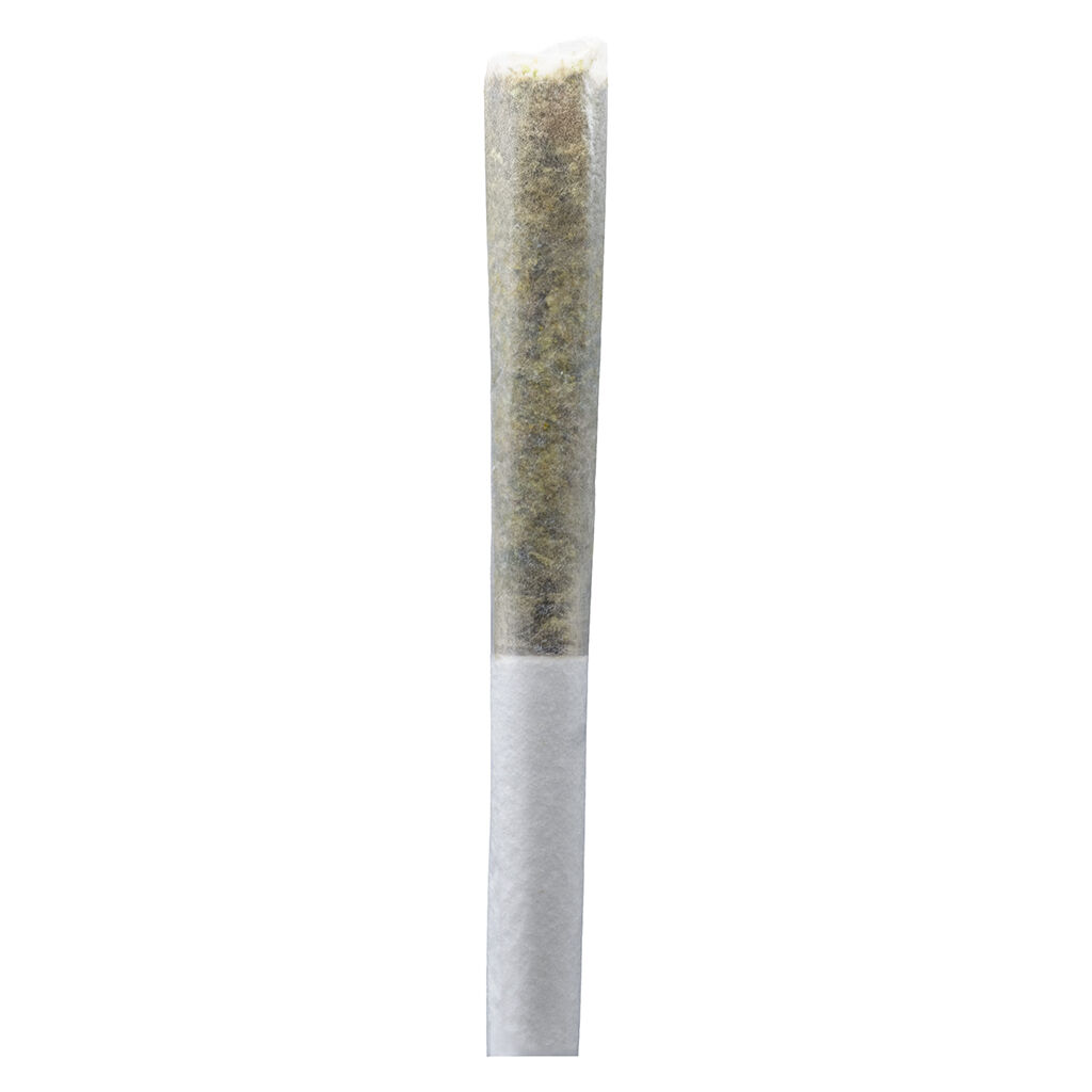 Permanent Gusher Pre-Roll