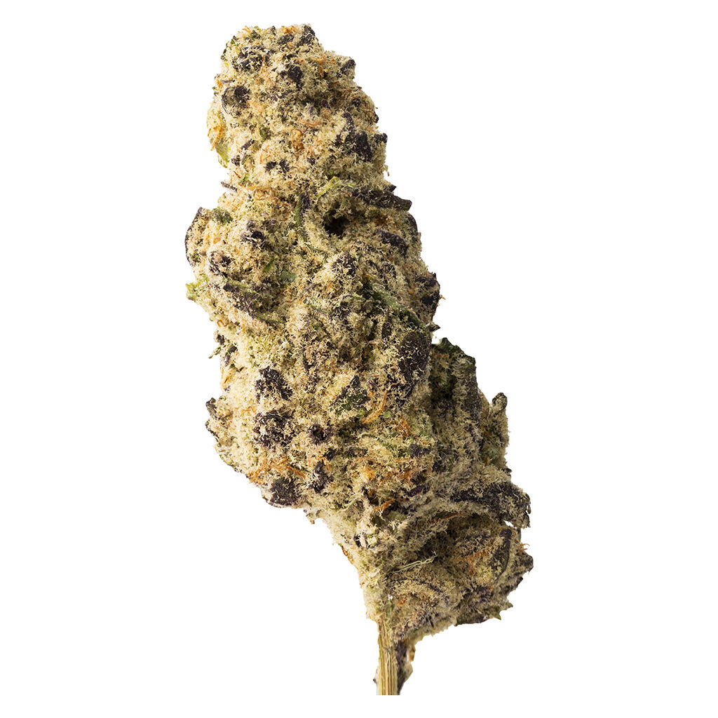 BIG Craft Eighth
