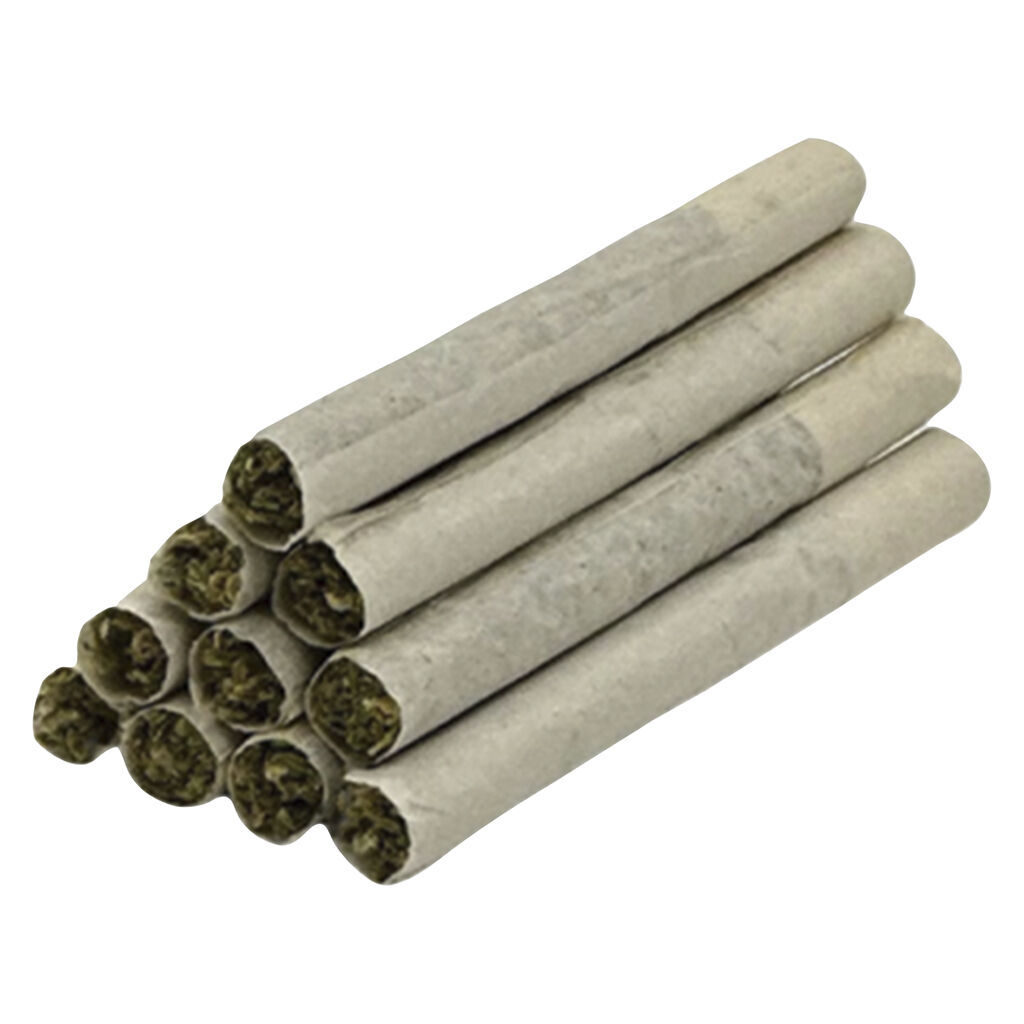 Series X Pre-Roll