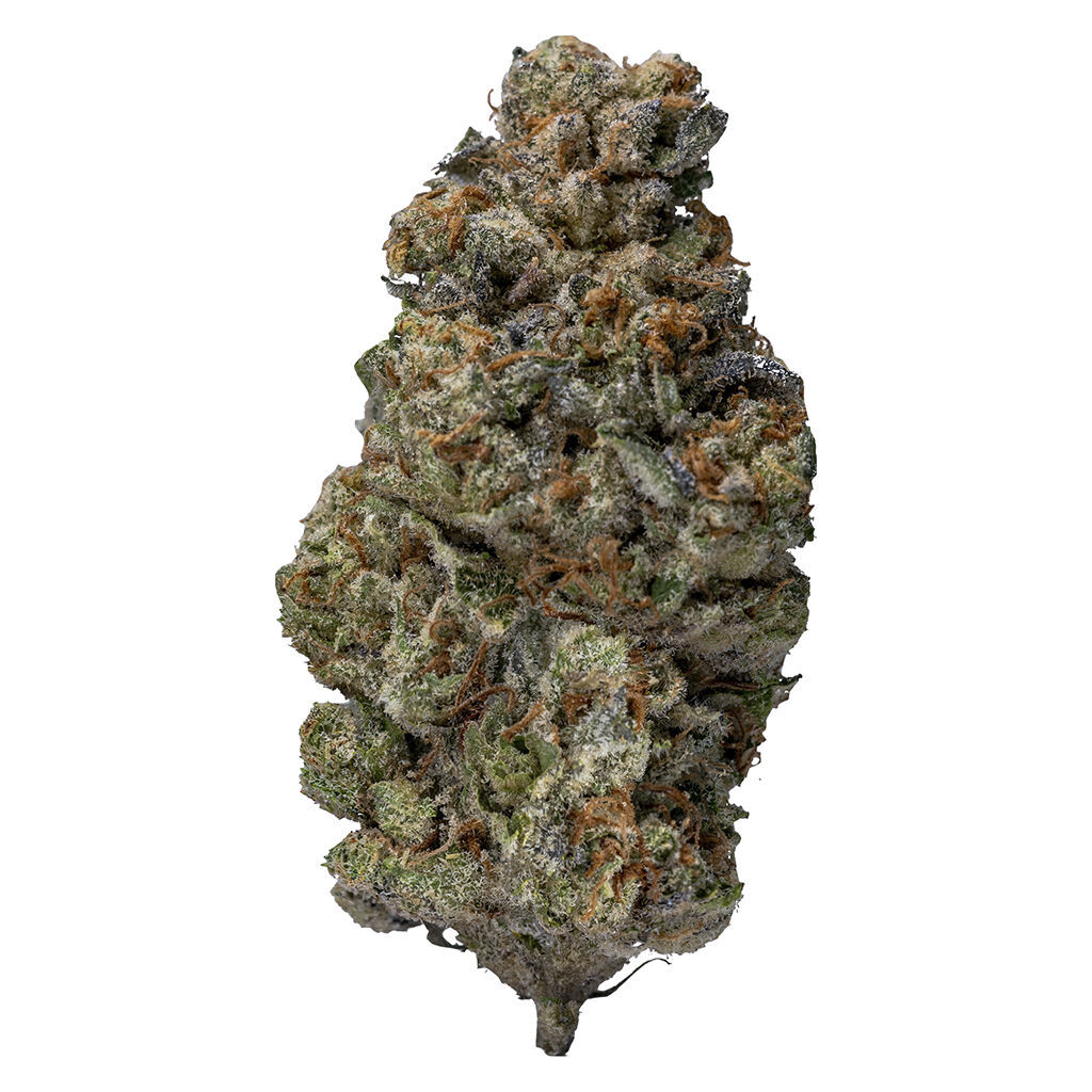 Indica