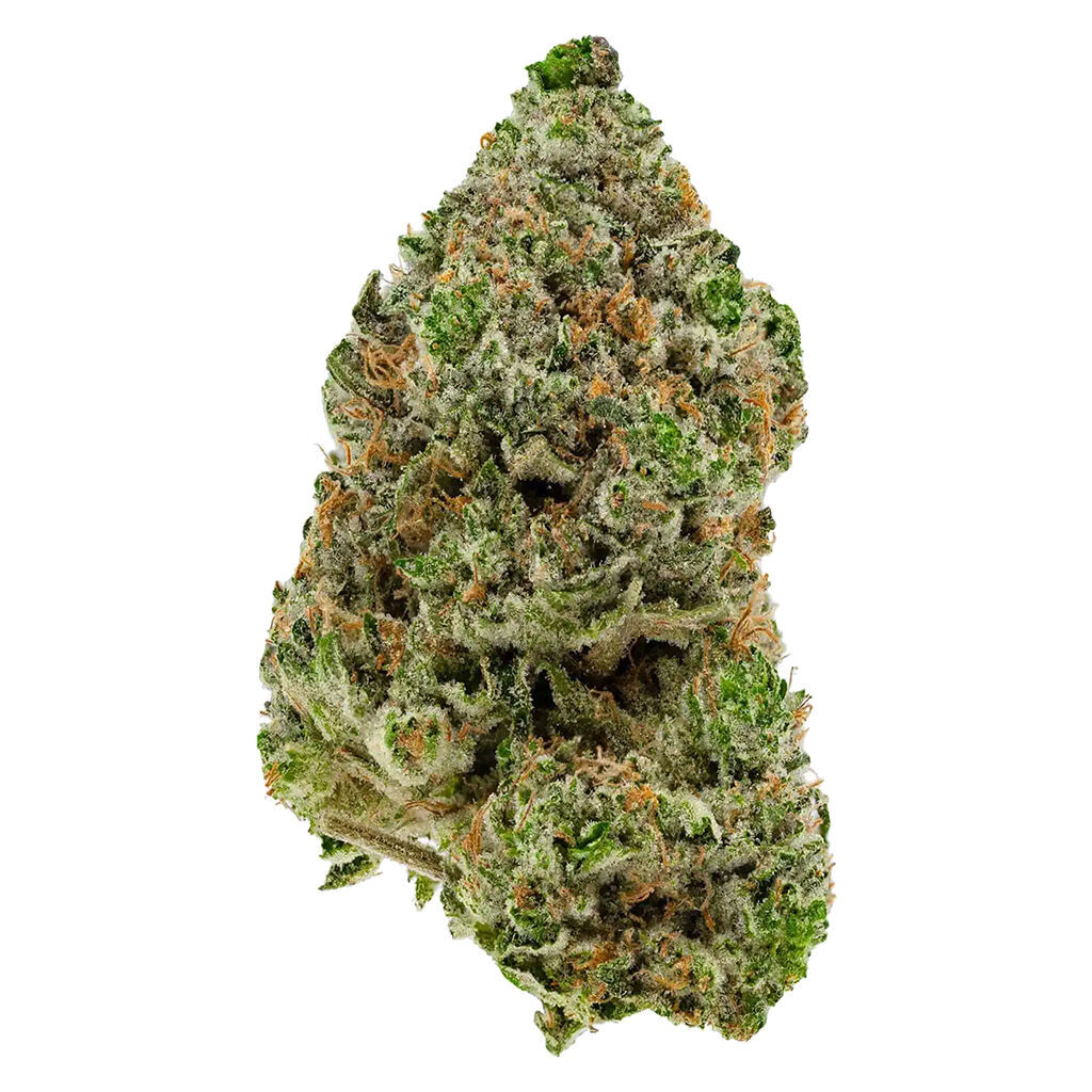 BC Organic Hibachi Blue