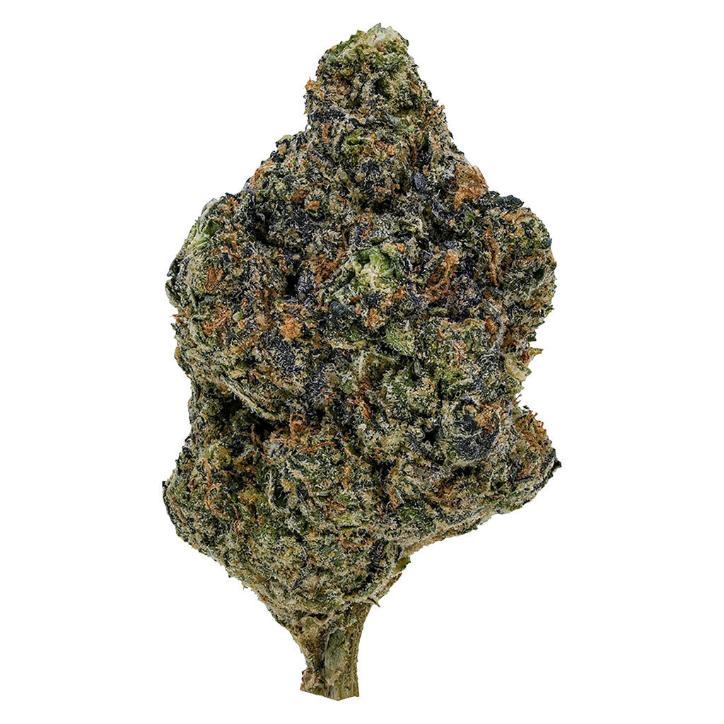 Gasolina 7g Dried Flower