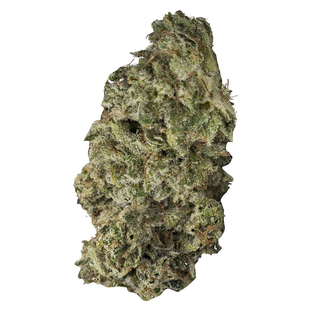 DBL Dutch