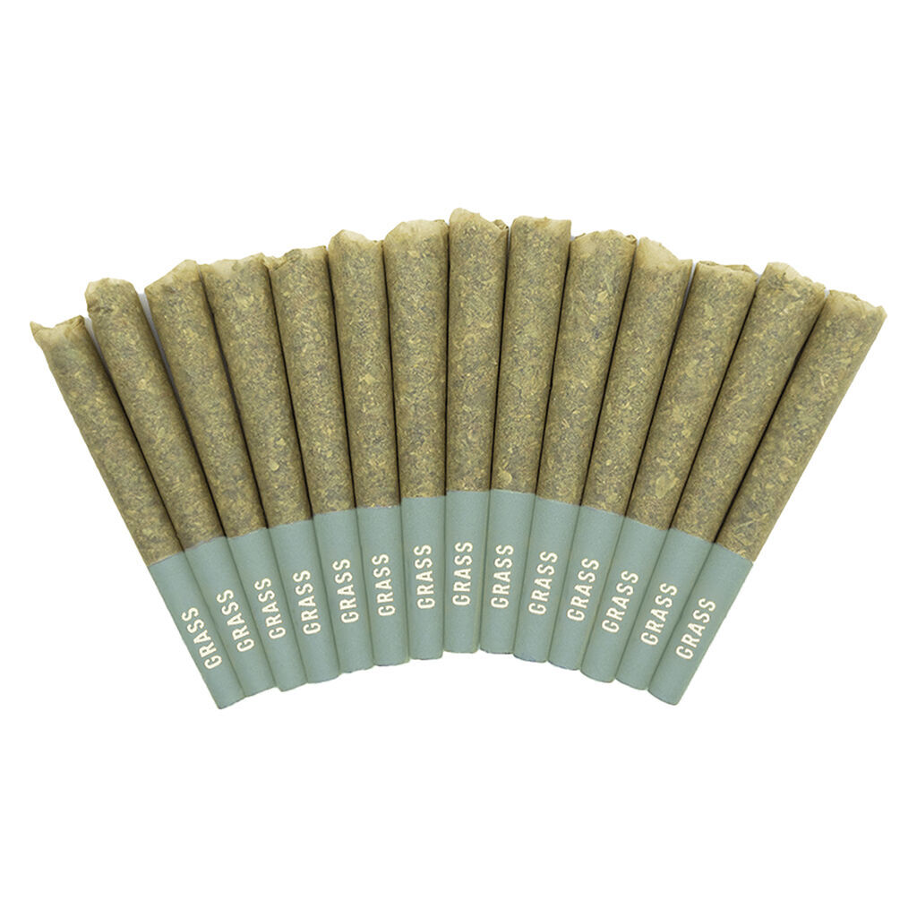 Bangerine Pre-Roll