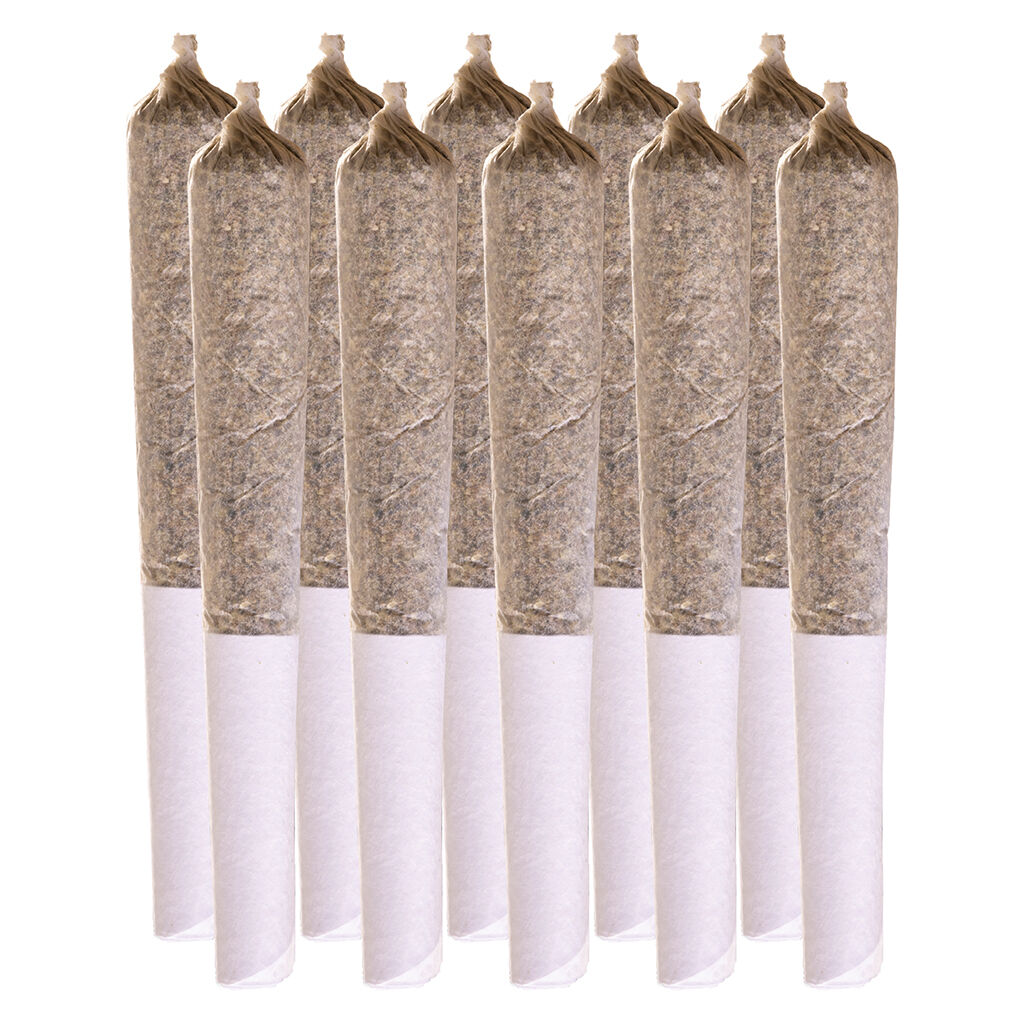 Summer Legacy Variety Pack Pre-Roll