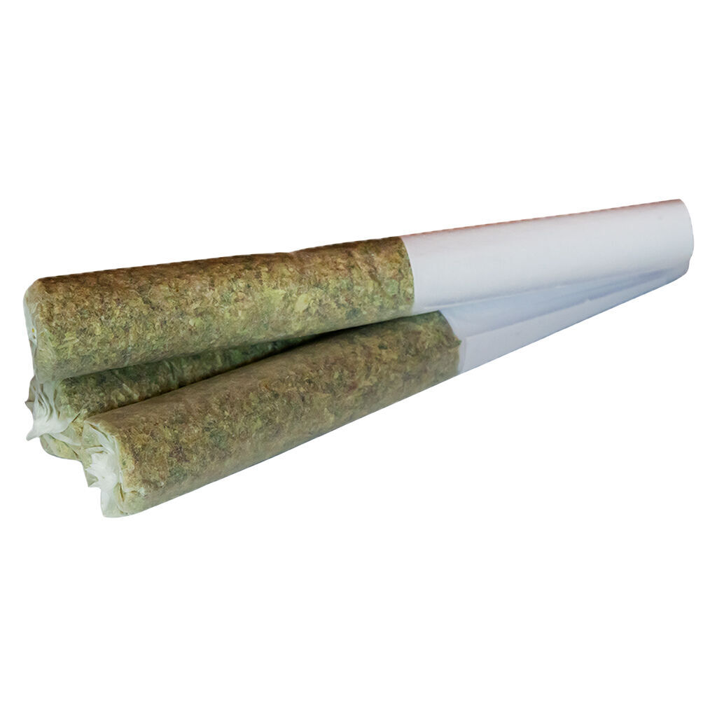 Pacific Hammer Pre-Roll