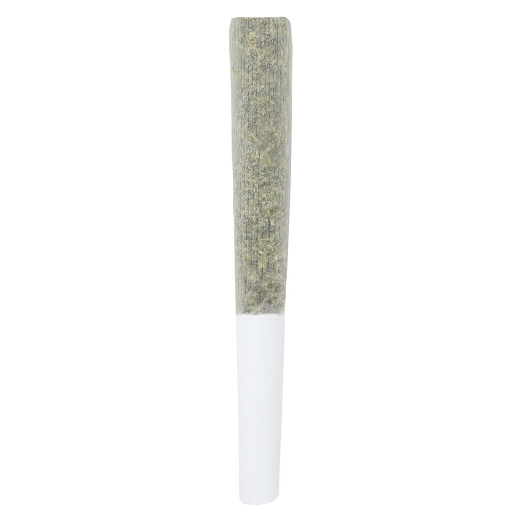 Crooked Dory - AAA+ Sativa Pre-roll