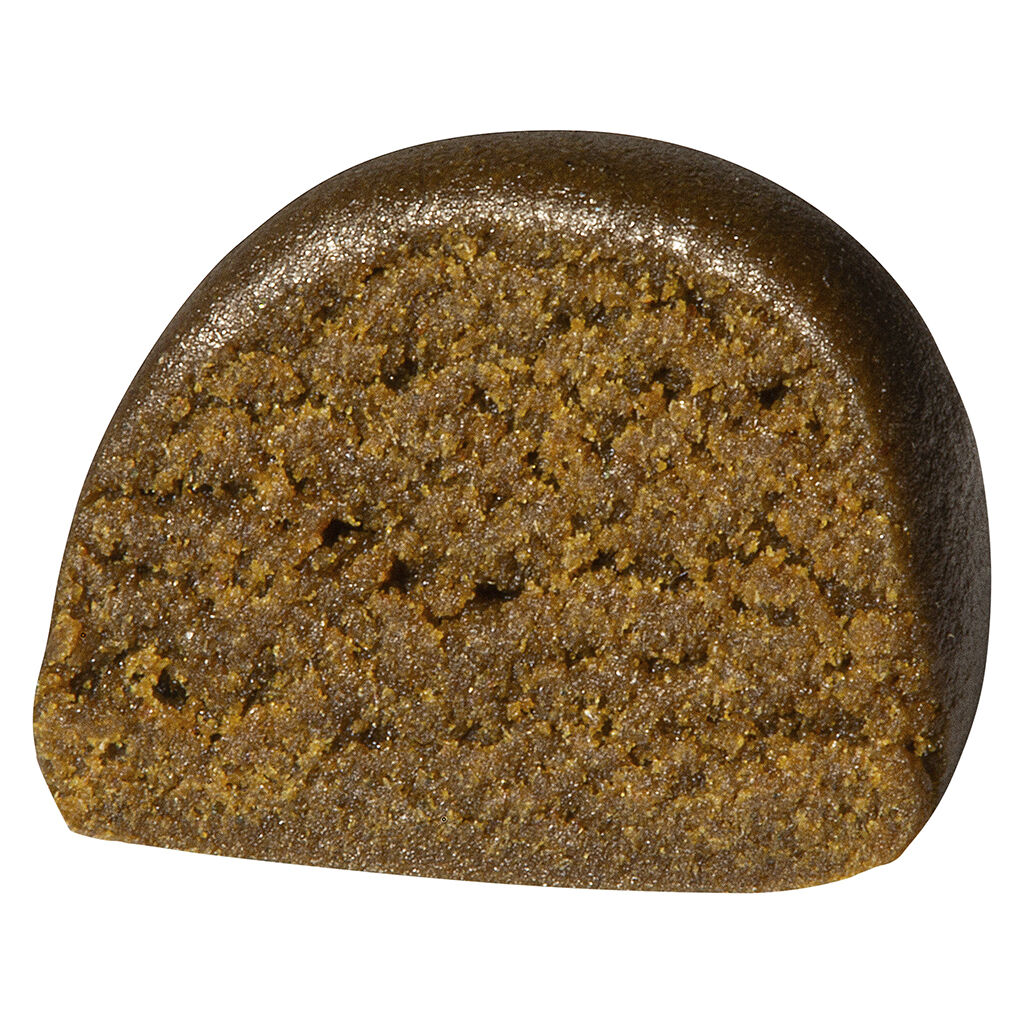 Gilded Cold Cured Live Rosin Infused Hash