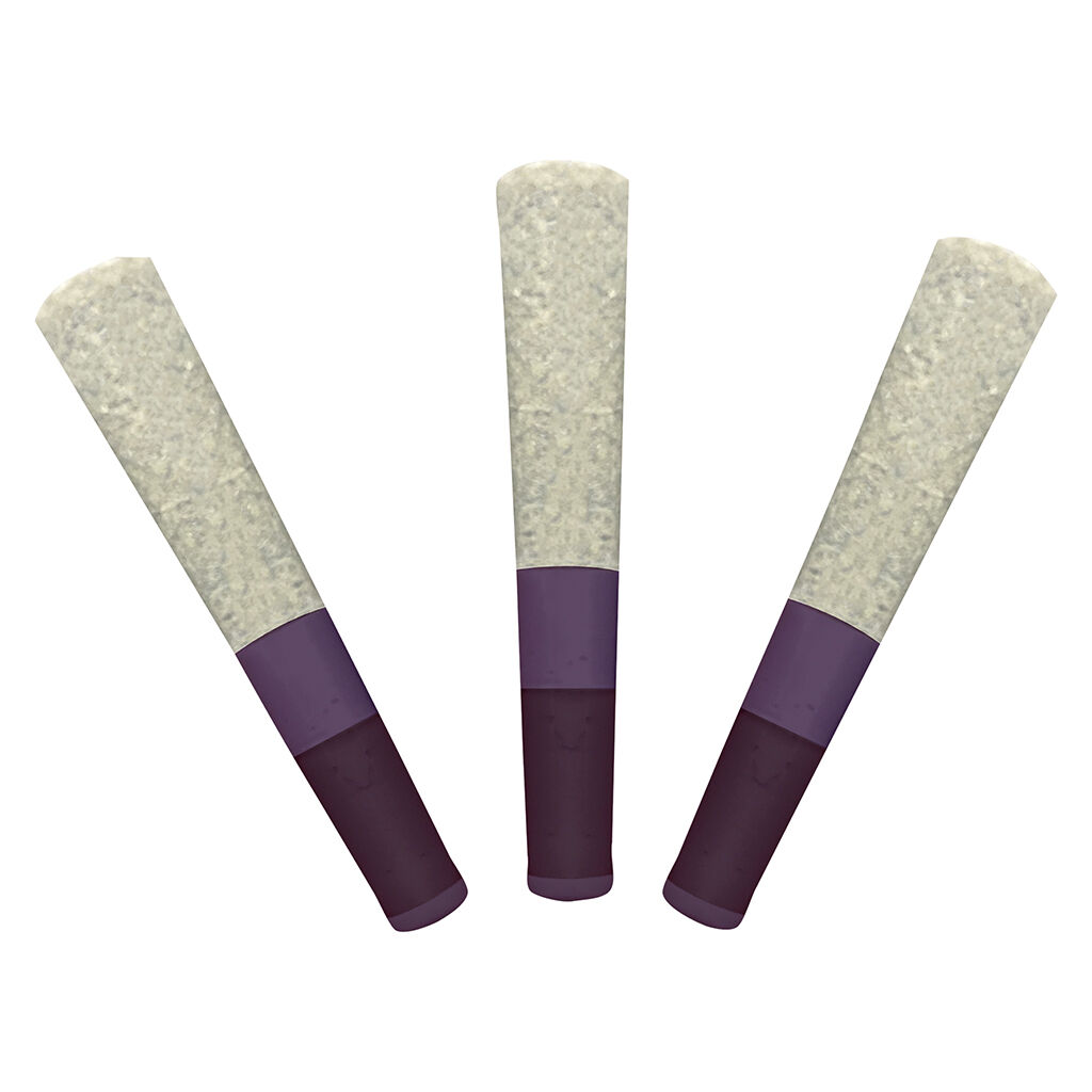 G.S.P (Gas S'il vous Plait) Ice Water Hash Infused 1x1g Pre-Roll