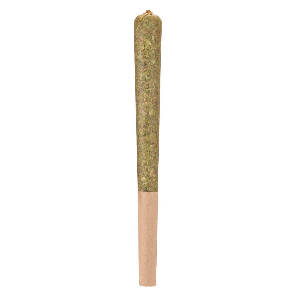 Woody Nelson - Rocketeer Infused 1x1g Pre-Roll Main Image
