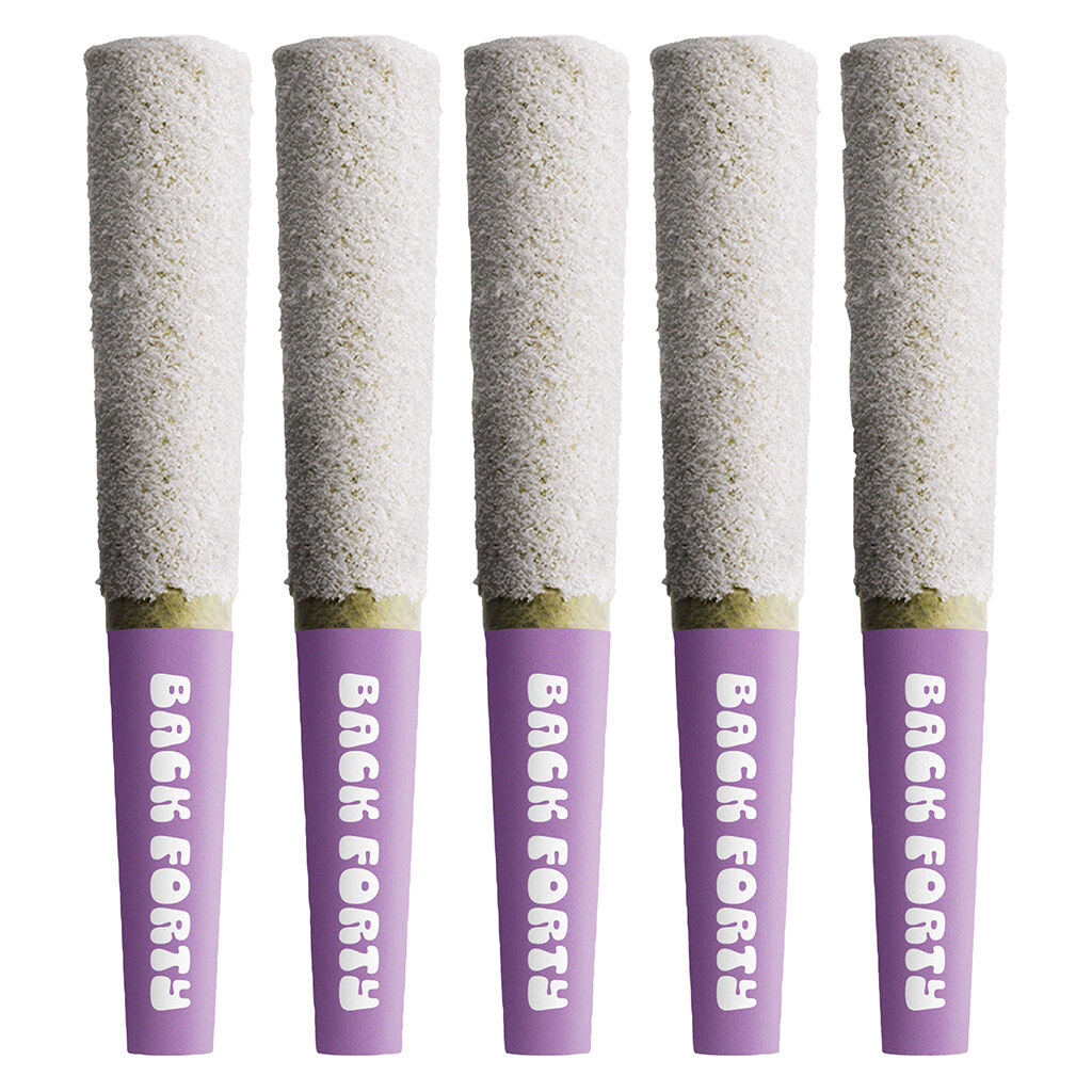 BACK FORTY - Frosted Icicles Infused - Iced Grape 5x0.5g Pre-Rolls Main Image