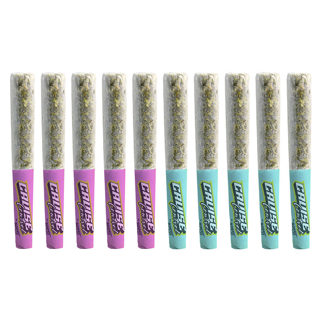 Cruise Control by BOXHOT - Spark plugs: Nitro+Daytona Peach Infused Pre-Roll - 10x0.5g