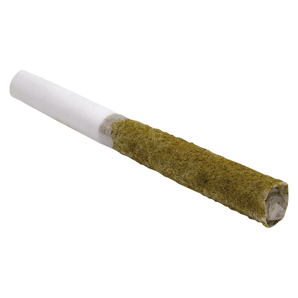 NIGHT KUSH INDICA INFUSED PRE-ROLL