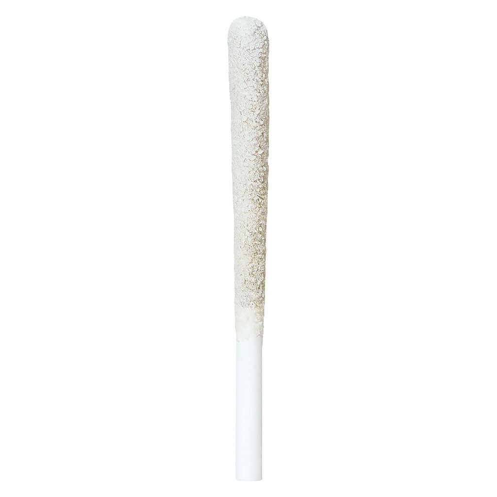 Irony - Blueberry Muffin Infused Pre-Roll