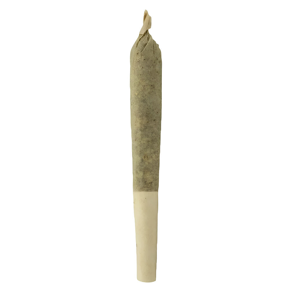 O.G. Hash Infused Pre-Roll