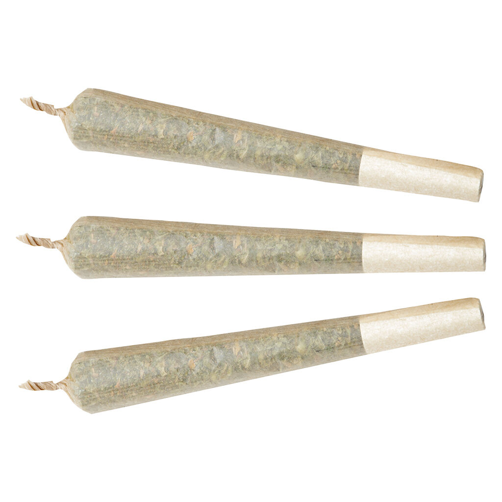 Watermelon G-Bear Distillate Infused 1x1g Pre-Roll