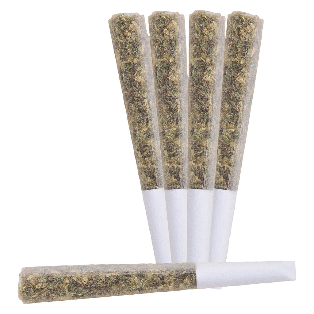 Nova Live Rosin Infused Pre-Roll