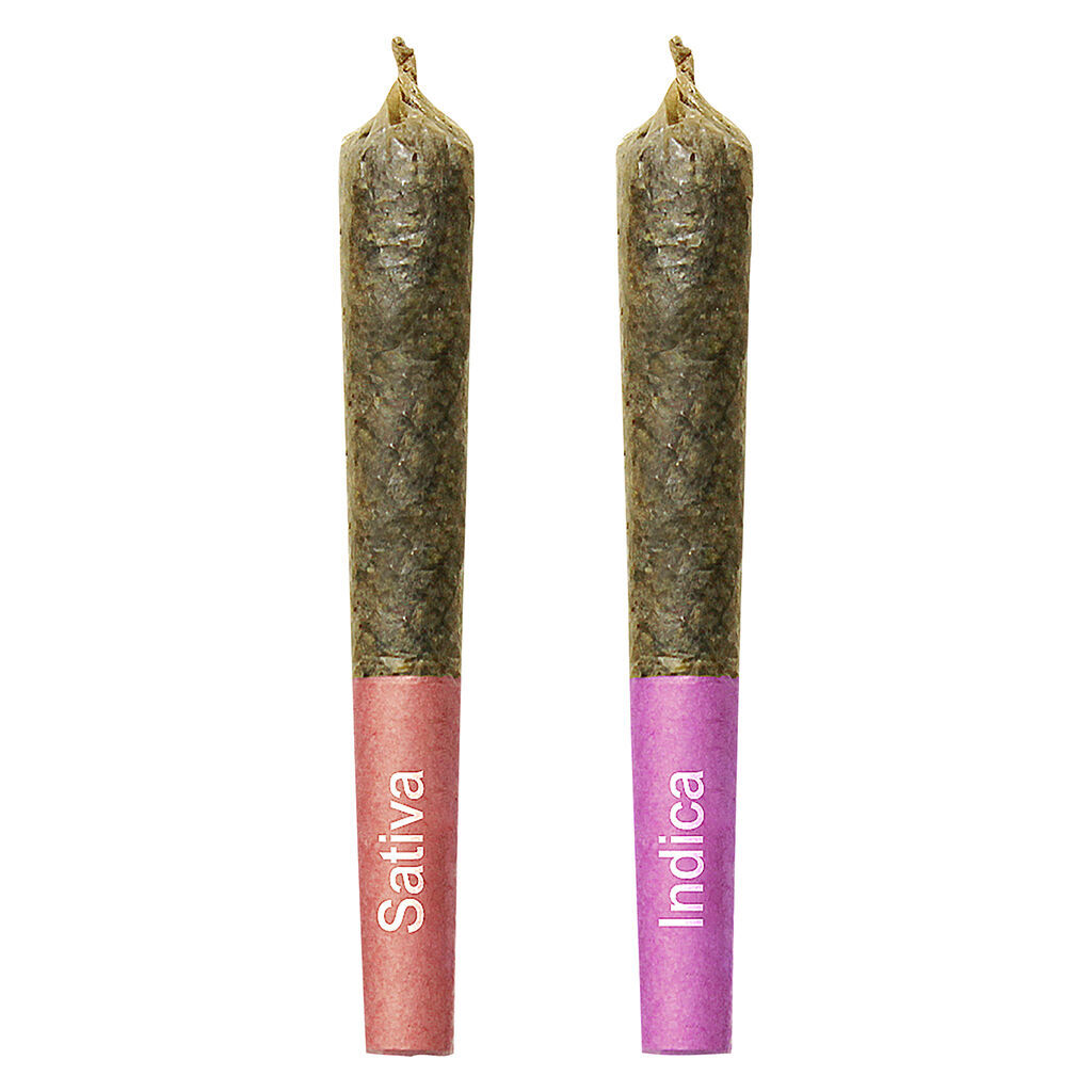 Gemini Sun and Moon Duo Pack Shatter Infused Pre-Roll