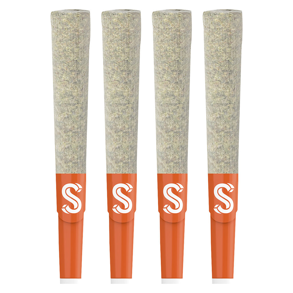 Sherbinskis - True GLTO 33 Double Infused Pre-Rolls - 4x0.5g