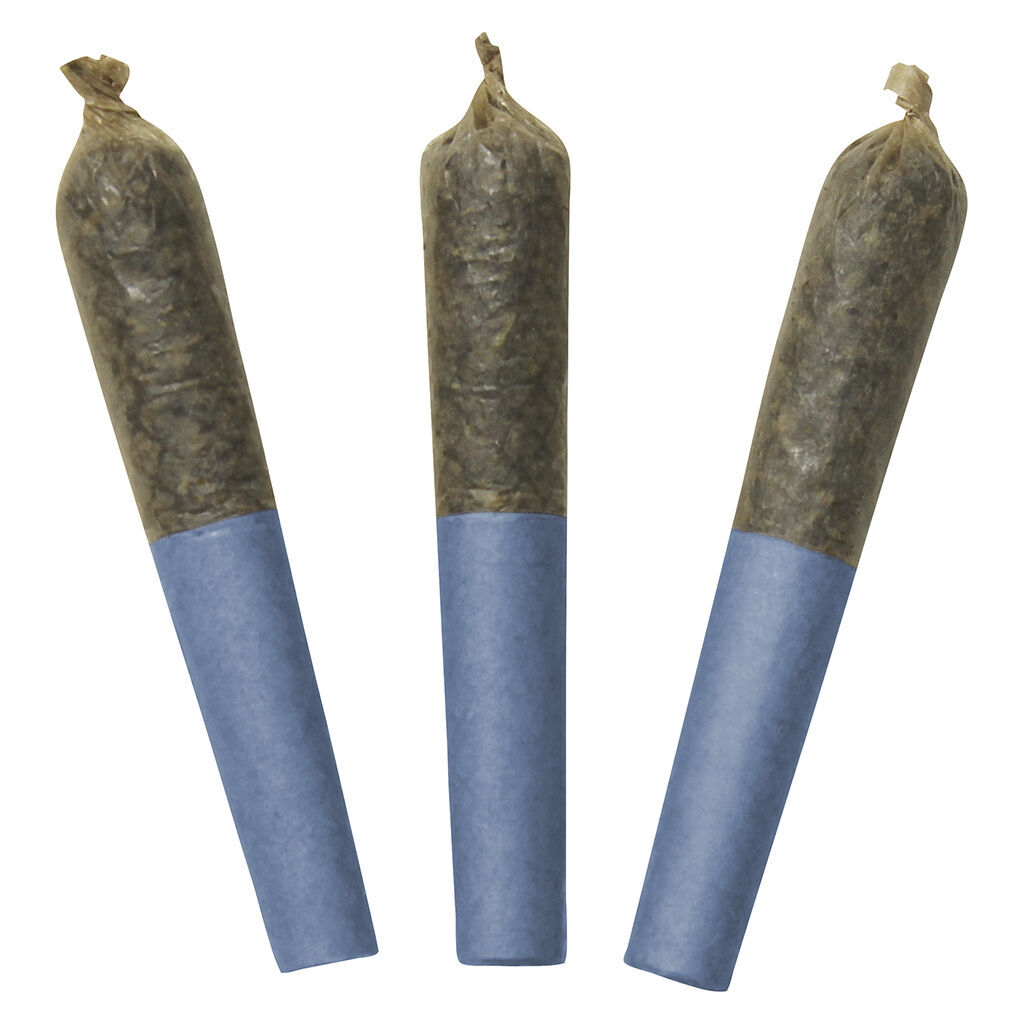 DAB BODS - Blue Lobster 60's+ Dbl Infused Pre-roll 3x0.5g Pre-Rolls Main Image