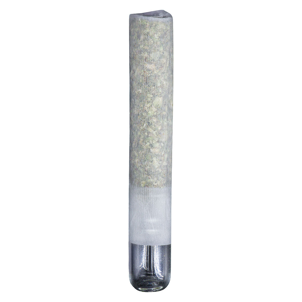 Snake in the Grass Infused PreRoll  1x
