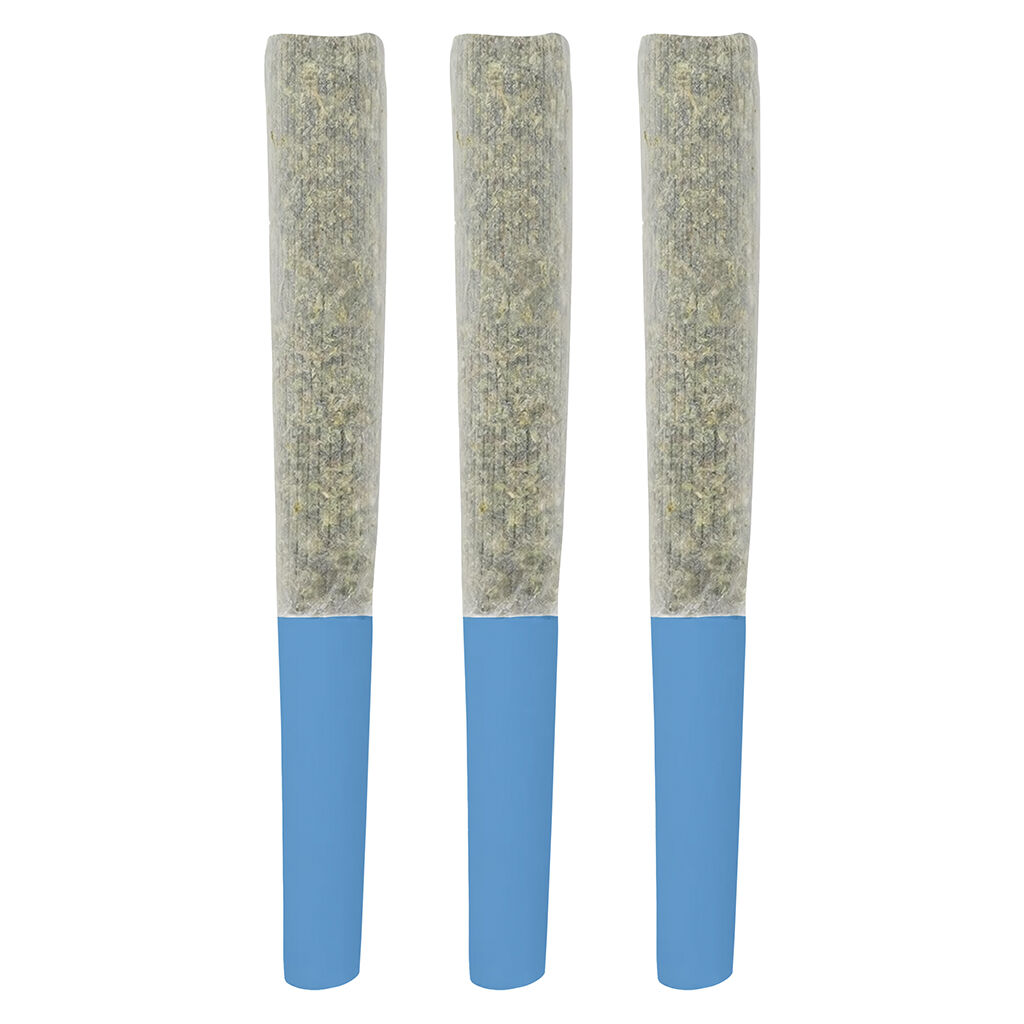 Blueberry Double Infused Pre-Rolls