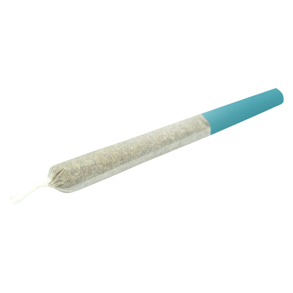Bluenose Berry 50%+ Hash Diamond Infused Pre-Roll