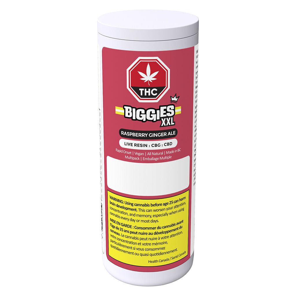 Raspberry Ginger Ale Multipack